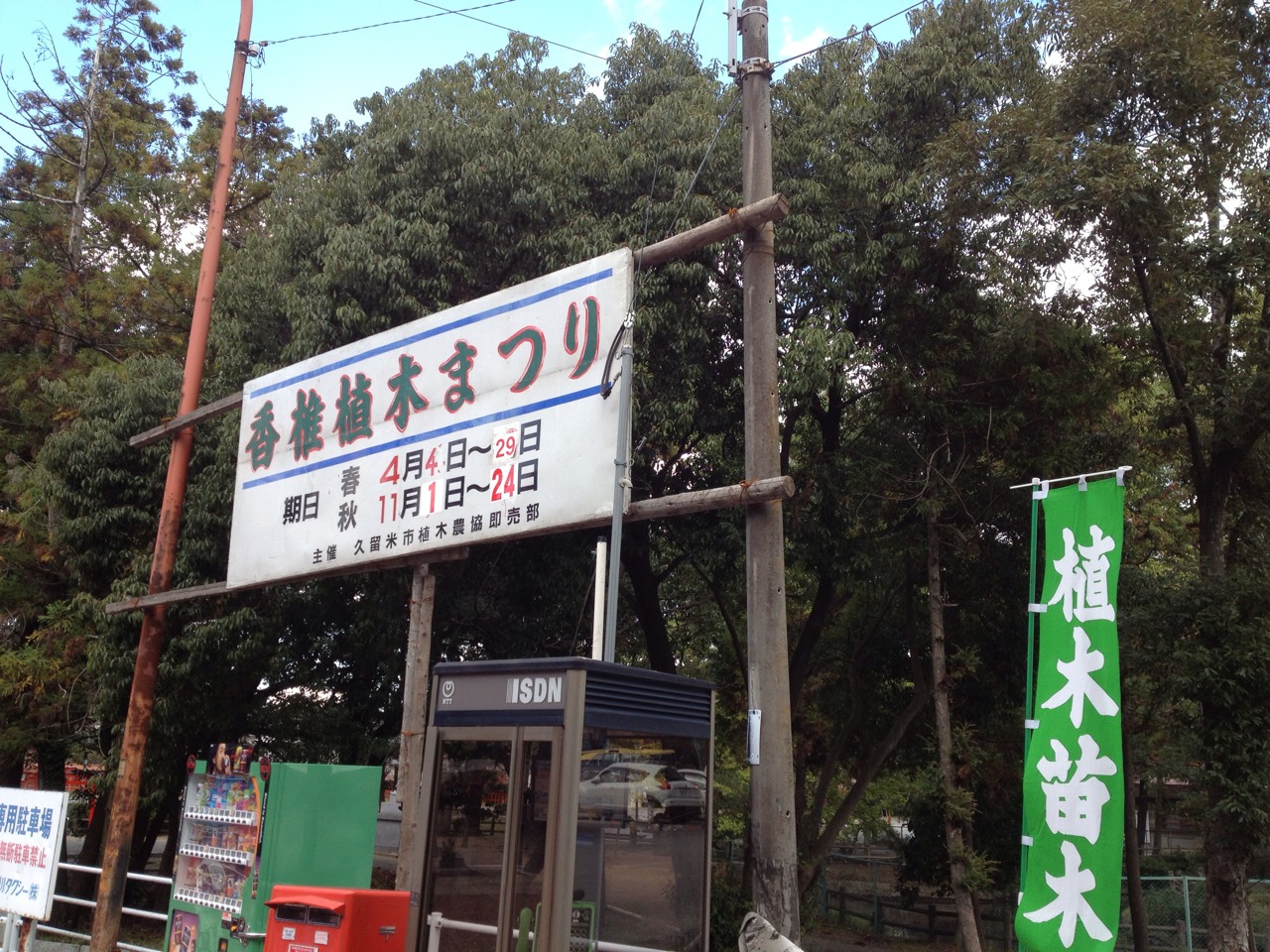 毎回 大好評の 香椎 植木まつり 福岡市東区千早 名島 香椎 箱崎駅周辺のリノベ ションマンションならふくろうにお任せ