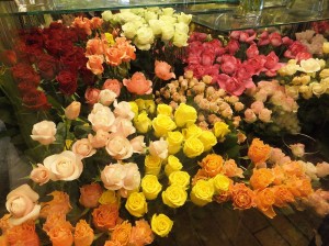 DSCF2447